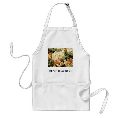 BEST TEACH ER GIFT Art Arpon Crafts Apron Rhodies by Basleeartprintgifts