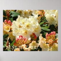 BEST TEACHER GIFT Rhodies Art Print Christmas
