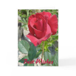 Best Wishes Cards