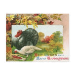 Best Wishes for a Happy Thanksgiving, Turkeys Postcards