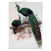 Best wishes, friends, family, Peacock Greeting Card