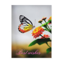 Best wishes post cards