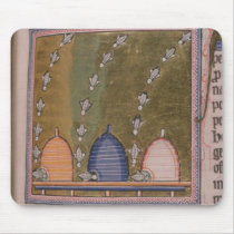 Bestiary Three curved lines