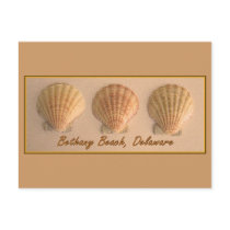 Bethany Beach, Delaware Postcard