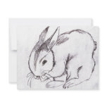 Betsybug Bunny invitations