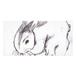 Betsybug Bunny photo cards