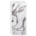 Betsybug Bunny rack cards