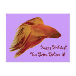 Betta - Birthday Postcard