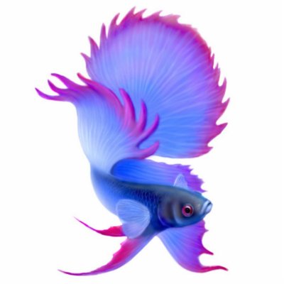 Betta Fighting Fish Holiday Ornament by twopurringcats