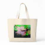 Betta fish bag