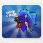 Betta Fish; Too Cool to School