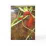 Betta invitation card