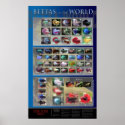 Betta Poster posters