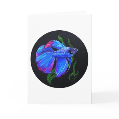 BETTA!!! Siamese Fighting Fish by pawtraitart