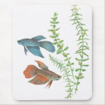 Betta splendens and Rotala indica White Mouse Pads