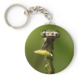 Bette Davis Eyes keychains