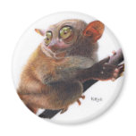 Bette Davis Eyes Magnet