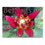 Better is One Day in Your Courts Post Card