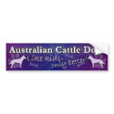 Better than Kids Australian Cattle Dog bumper stickers