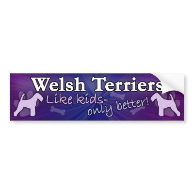 Better than Kids Welsh Terrier Bumper Sticker by MenagerieMayhem