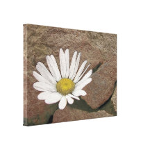 Between A Rock And A Hard Place Stretched Canvas Prints