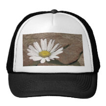 Between A Rock And A Hard Place Hat