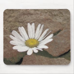 Between A Rock And A Hard Place Mousepads