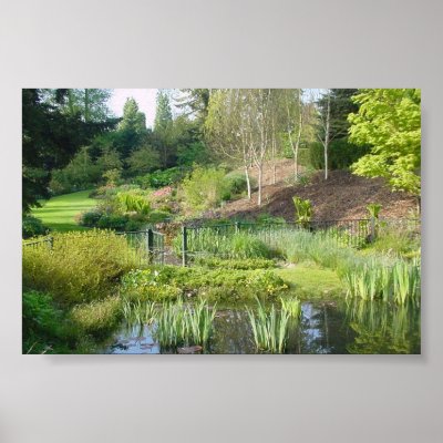 Beutifal scenary  print by dylancain1