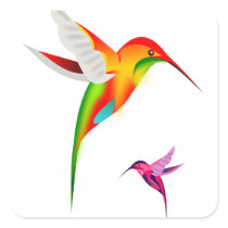 Beutiful Hummingbirds, Colibri