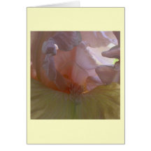 Beverly Sills Iris Card