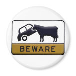 Beware - Cow Car