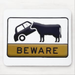 Beware - Cow Car
