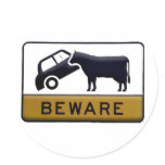 Beware - Cow Car