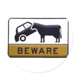 Beware - Cow Car