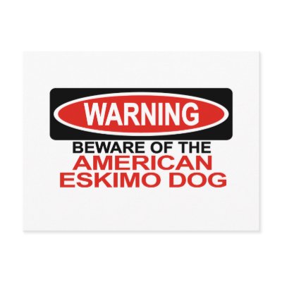 Beware Of American Eskimo Dog Postcard by Bewareofdogs