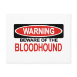 Beware Of Bloodhound postcards