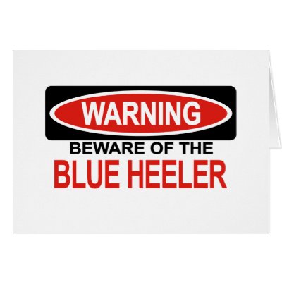 Beware Of Blue Heeler Card by Bewareofdogs