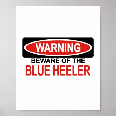 Beware Of Blue Heeler Print by Bewareofdogs