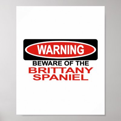 Beware Of Brittany Spaniel Posters by Bewareofdogs
