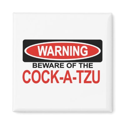 Beware Of Cock-A-Tzu Magnets by Bewareofdogs