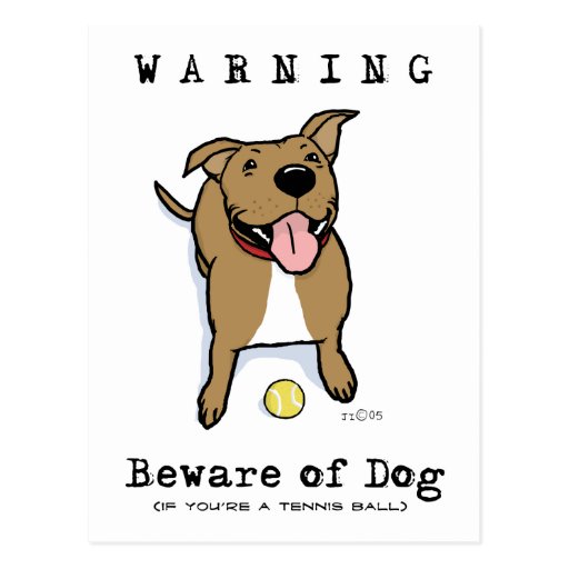 Beware of Dog (if you're a tennis ball) Postcard