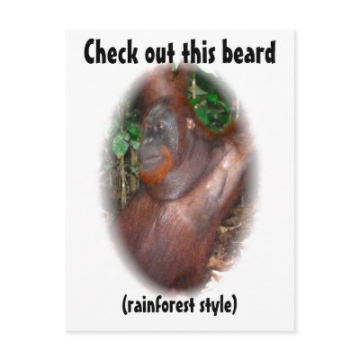 Beware of Facial Hair - rainforest style by Rebecca_Reeder
