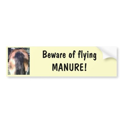 Beware of Flying Horse MANURE Bumper Sticker by elequine