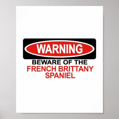 Beware Of French Brittany Spaniel Posters by Bewareofdogs
