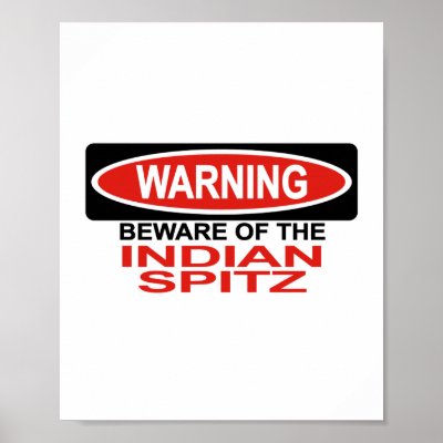 Beware Of Indian Spitz Posters by Bewareofdogs