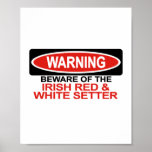 Beware Of Irish Red And White Setter posters