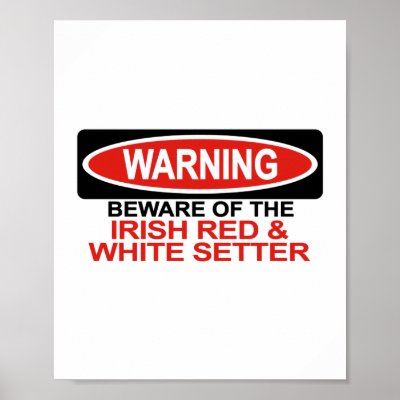 Beware Of Irish Red And White Setter Print by Bewareofdogs