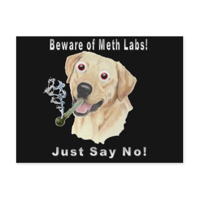 Beware of Meth Labs!  Just Say No! by markthaler