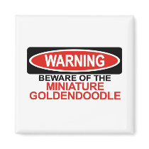 Beware Of Miniature Goldendoodle Refrigerator Magnets