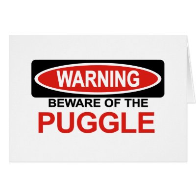 Beware Of Puggle Card by Bewareofdogs